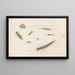 Planche 55 Wasserinsekten und Wirbellose, einschließlich einer Schnecke - Joris Hoefnagel — gerahmtes Bild an der Wand