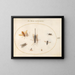 Platinen-Gemälde 61 Sept Insekten, darunter Fliegen - Joris Hoefnagel — gerahmtes Bild an der Wand