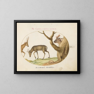 Joris Hoefnagel - Three Types of Stags with a Dormouse.webp