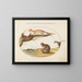 Furets, ein Furet und eine Nussmaus - Joris Hoefnagel — gerahmtes Bild an der Wand