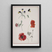 Blumen - Josef Lauer — gerahmtes Bild an der Wand