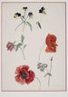 Blumen - Josef Lauer — Ansicht des Kunstwerks