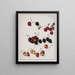Kirschen - Josef Lauer — gerahmtes Bild an der Wand