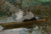 Dame in einem Boot - Josef Schusser — Ansicht des Kunstwerks