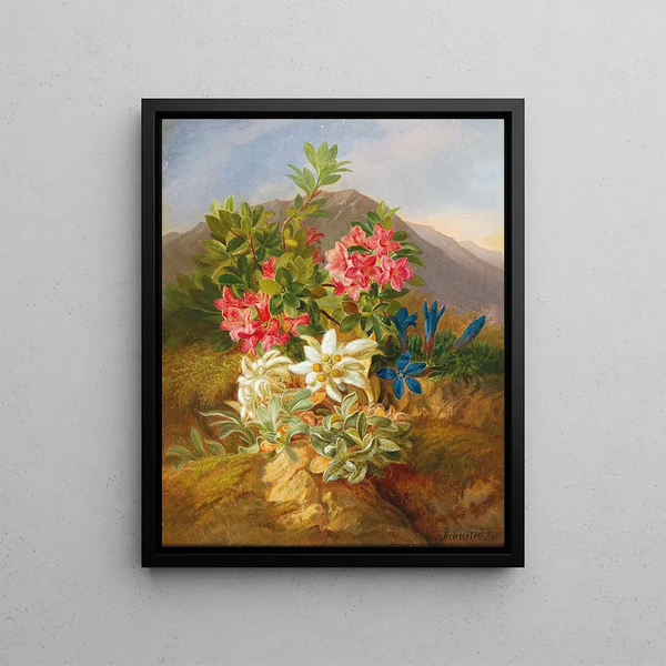 Josef Schuster - Alpine Flowers.webp