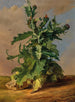 Chardons - Josef Schuster — Ansicht des Kunstwerks