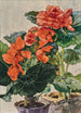 Begonien orange - Josef Stoitzner — Ansicht des Kunstwerks