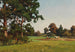 Im Feld - Josef Willroider — Ansicht des Kunstwerks