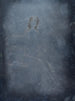Frau bei der Haarpflege - Joseph C. Claghorn — Ansicht des Kunstwerks