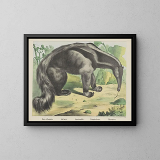 Joseph Scholz - Antbear.webp