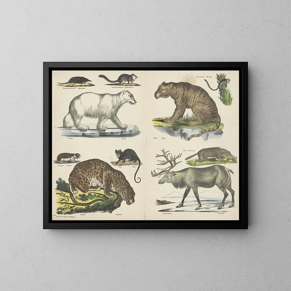 Tiere - Joseph Scholz — gerahmtes Bild an der Wand