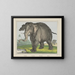 Elefant - Joseph Scholz — gerahmtes Bild an der Wand