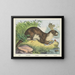 Flussotter - Joseph Scholz — gerahmtes Bild an der Wand