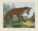 Fuchs - Joseph Scholz — Ansicht des Kunstwerks
