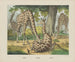 Giraffe - Joseph Scholz — Ansicht des Kunstwerks