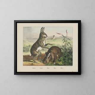 Joseph Scholz - Hare.webp