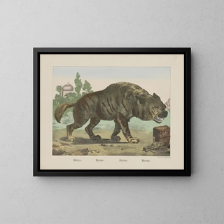 Joseph Scholz - Hyena.webp