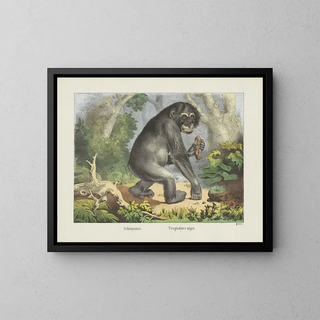Joseph Scholz - Schimpanse.webp