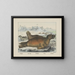 Hund des Meeres - Joseph Scholz — gerahmtes Bild an der Wand