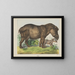 Tapir - Joseph Scholz — gerahmtes Bild an der Wand