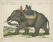 L'Elefant jagte andere Elefanten - Joseph Scholz — Ansicht des Kunstwerks