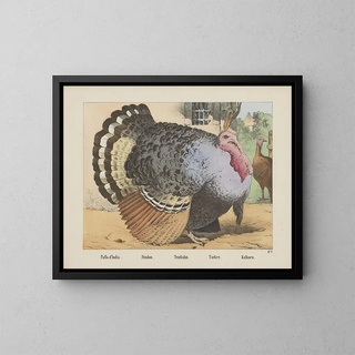 Joseph Scholz - Turkey.webp