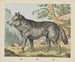 Loup - Joseph Scholz — Ansicht des Kunstwerks