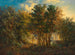 Australischer Regenwald - Joseph Selleny — Ansicht des Kunstwerks