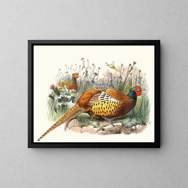 Fasan von Shaw - Joseph Smit — gerahmtes Bild an der Wand