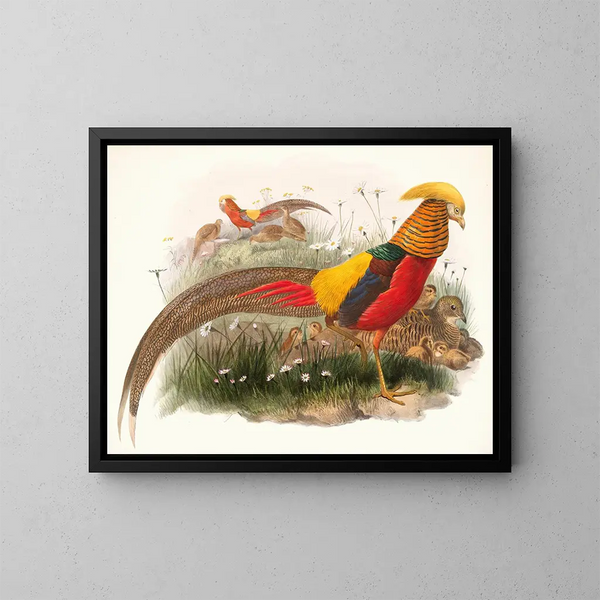Thaumalea gemalt - Joseph Smit — gerahmtes Bild an der Wand
