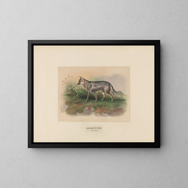 Renard d'Azara - Joseph Wolf — gerahmtes Bild an der Wand