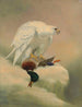 Gyrfalcon - Joseph Wolf — Ansicht des Kunstwerks
