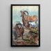 L'Aoudad - Joseph Wolf — gerahmtes Bild an der Wand