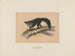 L'Aye-Aye - Joseph Wolf — Ansicht des Kunstwerks
