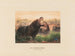 L'Hippopotame - Joseph Wolf — Ansicht des Kunstwerks