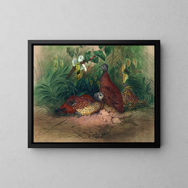 Der fasan gemalt - Joseph Wolf — gerahmtes Bild an der Wand