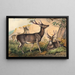 Der Hirsch Rusa - Joseph Wolf — gerahmtes Bild an der Wand