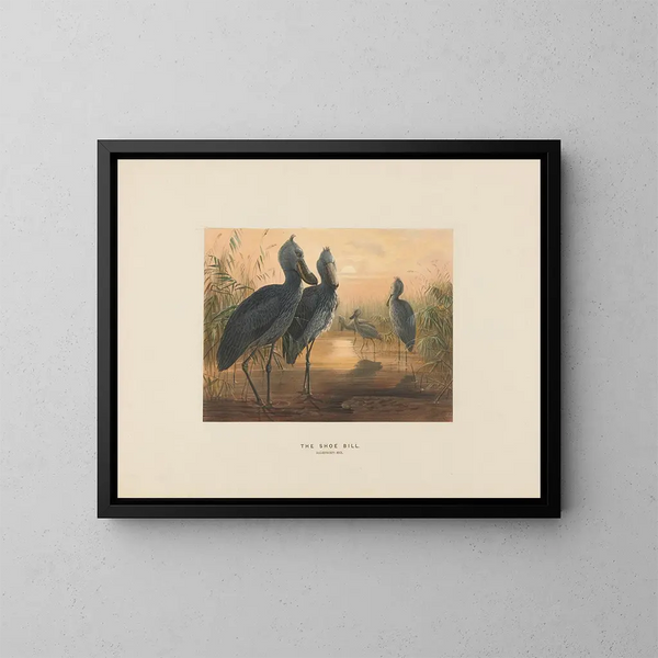Der Huflattich - Joseph Wolf — gerahmtes Bild an der Wand