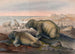 Der Morsäer - Joseph Wolf — Ansicht des Kunstwerks