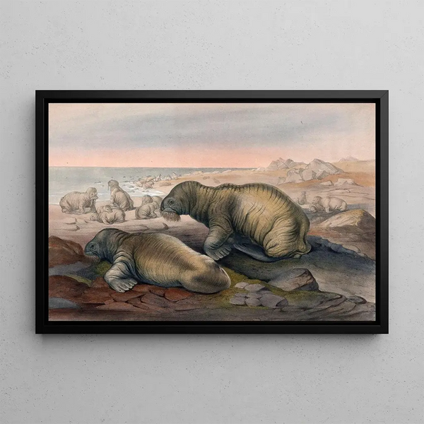 Der Morsäer - Joseph Wolf — gerahmtes Bild an der Wand