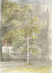 Baum vor dem Gitter eines Herrenhauses - Jozef Israëls — Ansicht des Kunstwerks