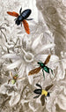 Névroptères Pl VII - Jules Rothschild — Ansicht des Kunstwerks