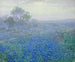 Ein bewölkter Tag, Bluebonnets in der Nähe von San Antonio, Texas - Julian Onderdonk — Ansicht des Kunstwerks