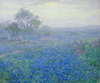 Ein bewölkter Tag, Bluebonnets in der Nähe von San Antonio, Texas - Julian Onderdonk — Ansicht des Kunstwerks