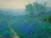 Blaubeeren beim Sonnenaufgang im Norden von San Antonio - Julian Onderdonk — Ansicht des Kunstwerks