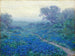 Blaubeeren bei Sonnenaufgang - Julian Onderdonk — Ansicht des Kunstwerks