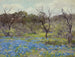 Früher Frühling, Bluebonnets und Mesquite - Julian Onderdonk — Ansicht des Kunstwerks