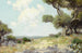 In den Hügeln im Südwesten von Texas - Julian Onderdonk — Ansicht des Kunstwerks