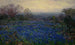 Ohne Titel, Bluebonnets-Feld - Julian Onderdonk — Ansicht des Kunstwerks