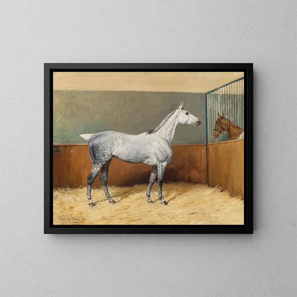 Ein graues geschecktes Pferd - Julius von Blaas — gerahmtes Bild an der Wand